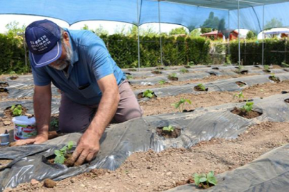 Doğa ile başbaşa kalmak isteyenler yarın başlıyor
